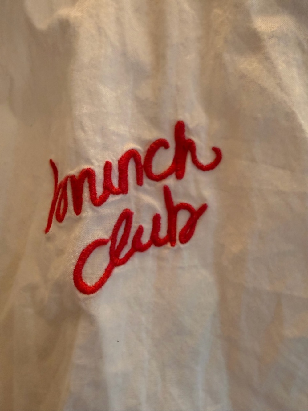 aerie White Button-Down Shirt with Red Embroidered Logo - Picture 4 of 4
